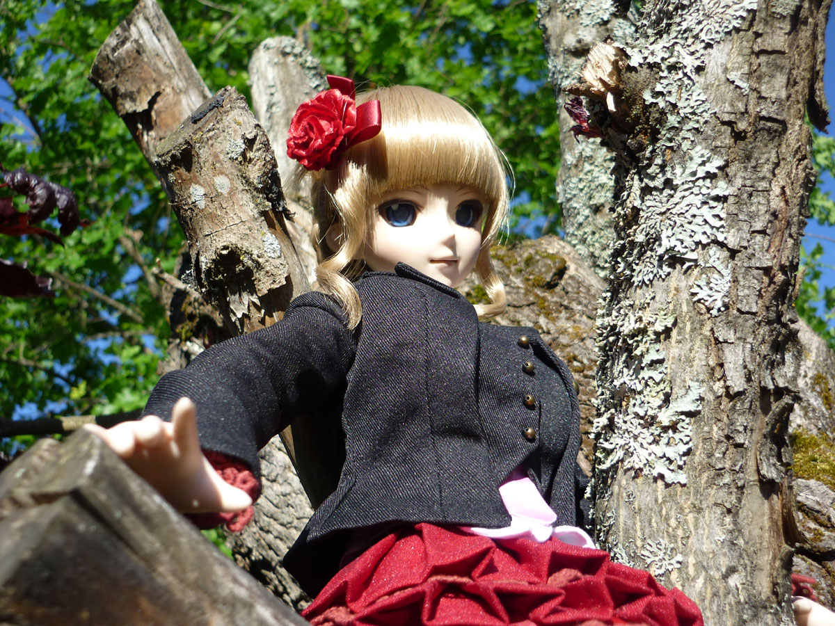 beat-maple4.jpg