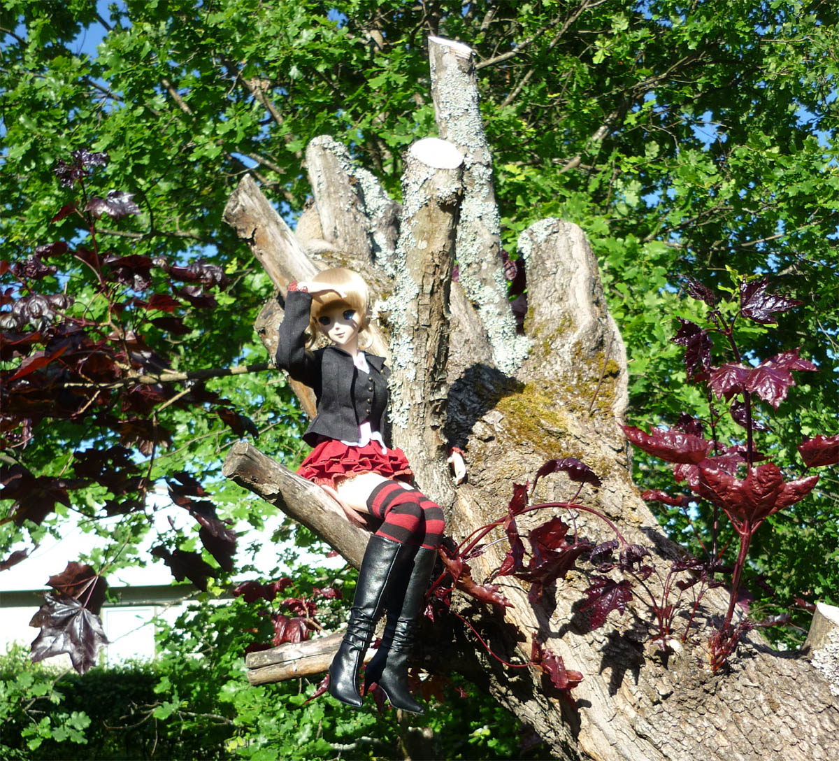 beat-maple5.jpg