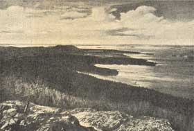 Koli